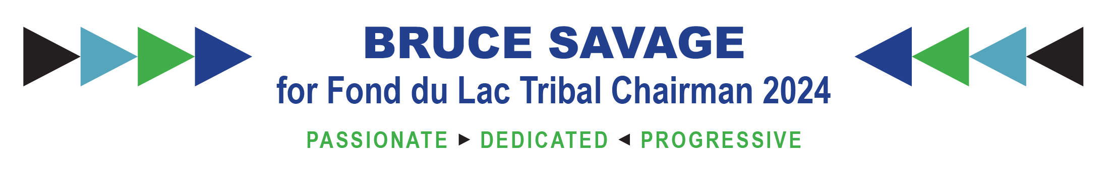 Bruce Savage for Chairman